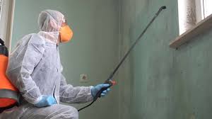 Why You Should Choose Our Mold Remediation Services in North Madison, OH