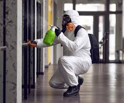 Best Environmental Consulting for Mold Prevention  in North Madison, OH